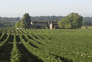 CHATEAU DE MANIBAN VIGNES